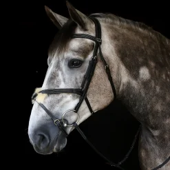Whitaker Vienna Bridle With Reins