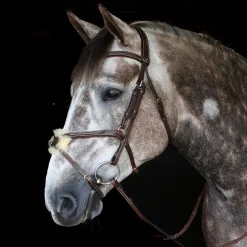 Whitaker Vienna Bridle With Reins