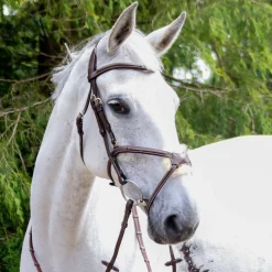 Whitaker Vienna Bridle With Reins