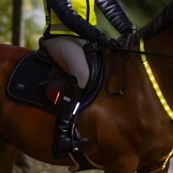 Woof Wear 3-in-1 Rider Safety Lights
