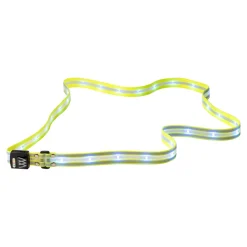 Woof Wear LED Sash