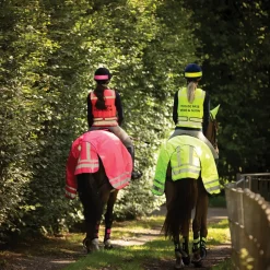 Woof Wear Hi Vis Exercise Sheet