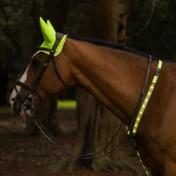 Woof Wear Hi Vis Noise Cancelling Fly Veil