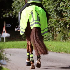 Woof Wear Winter Hi Vis Exercise Sheet