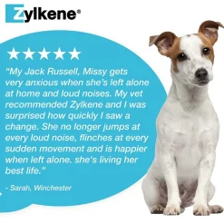 Zylkene Behavioural Support 20 caps